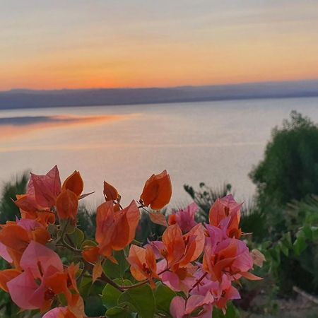 Comfy Stays Sea View Apartments At Deadsea Samarah Resort Sweimeh エクステリア 写真