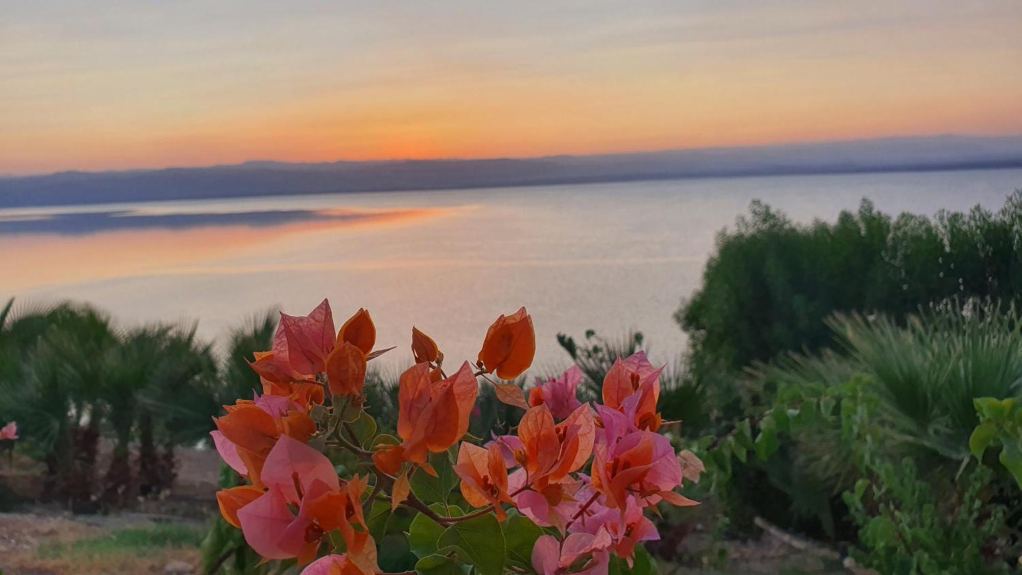 Comfy Stays Sea View Apartments At Deadsea Samarah Resort Sweimeh エクステリア 写真