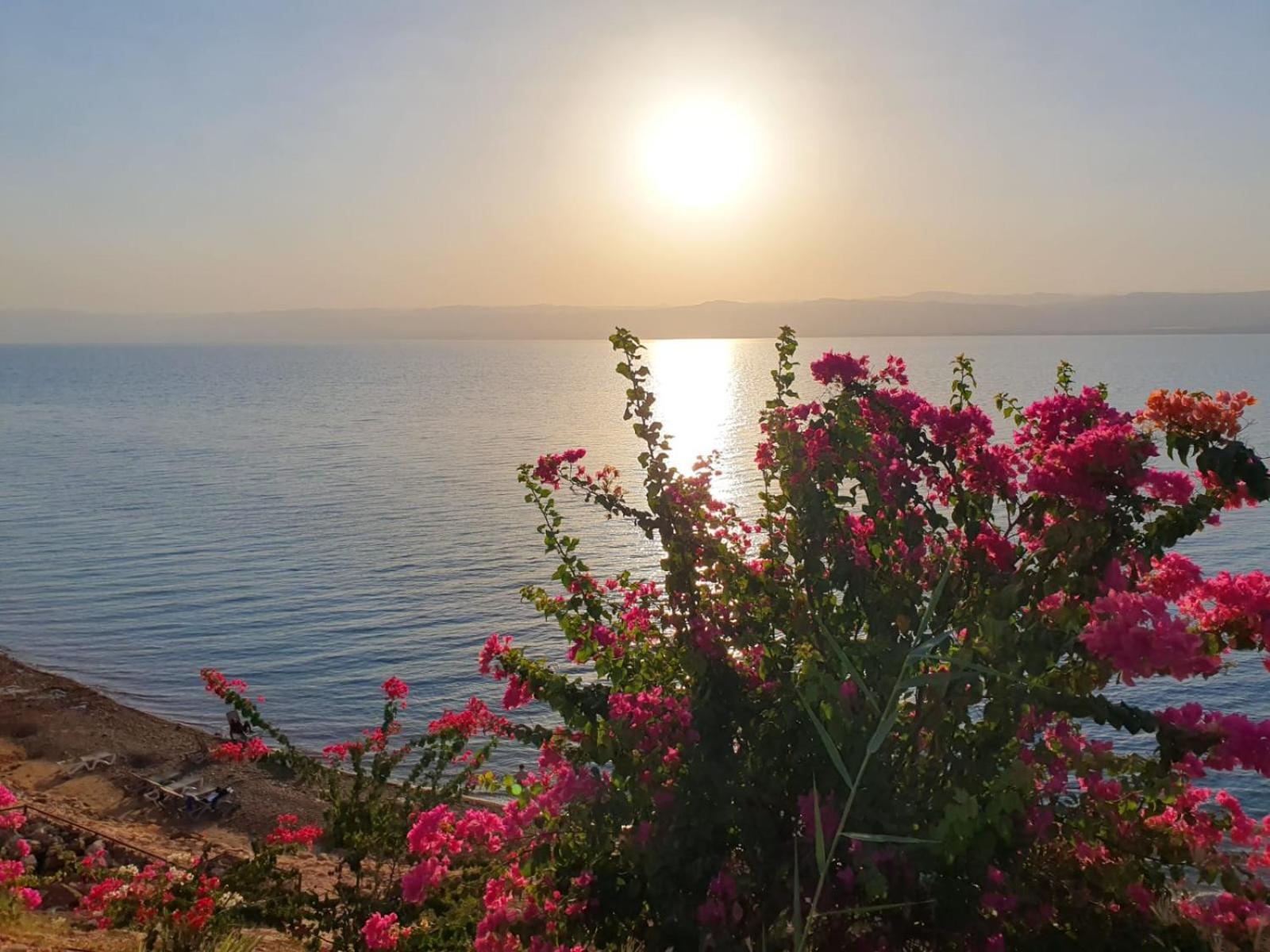 Comfy Stays Sea View Apartments At Deadsea Samarah Resort Sweimeh エクステリア 写真